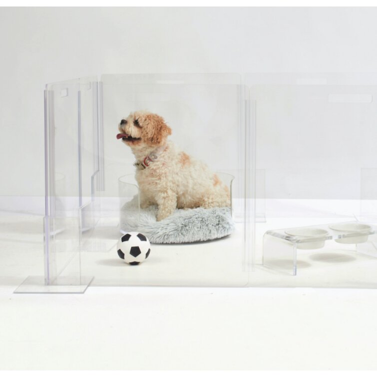 Clear acrylic 2025 dog bed